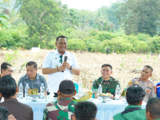 Pemkab Luwu Genjot Hilirisasi, Kakao Disiapkan Kembali Menjadi Komoditas Unggulan
