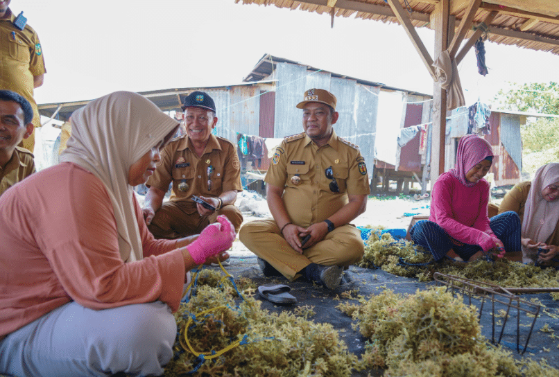 Bupati Luwu Dorong Penguatan Ekonomi Masyarakat Pesisir melalui Potensi Rumput Laut